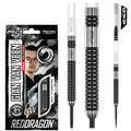 Gian Van Veen Axis Darts-90%