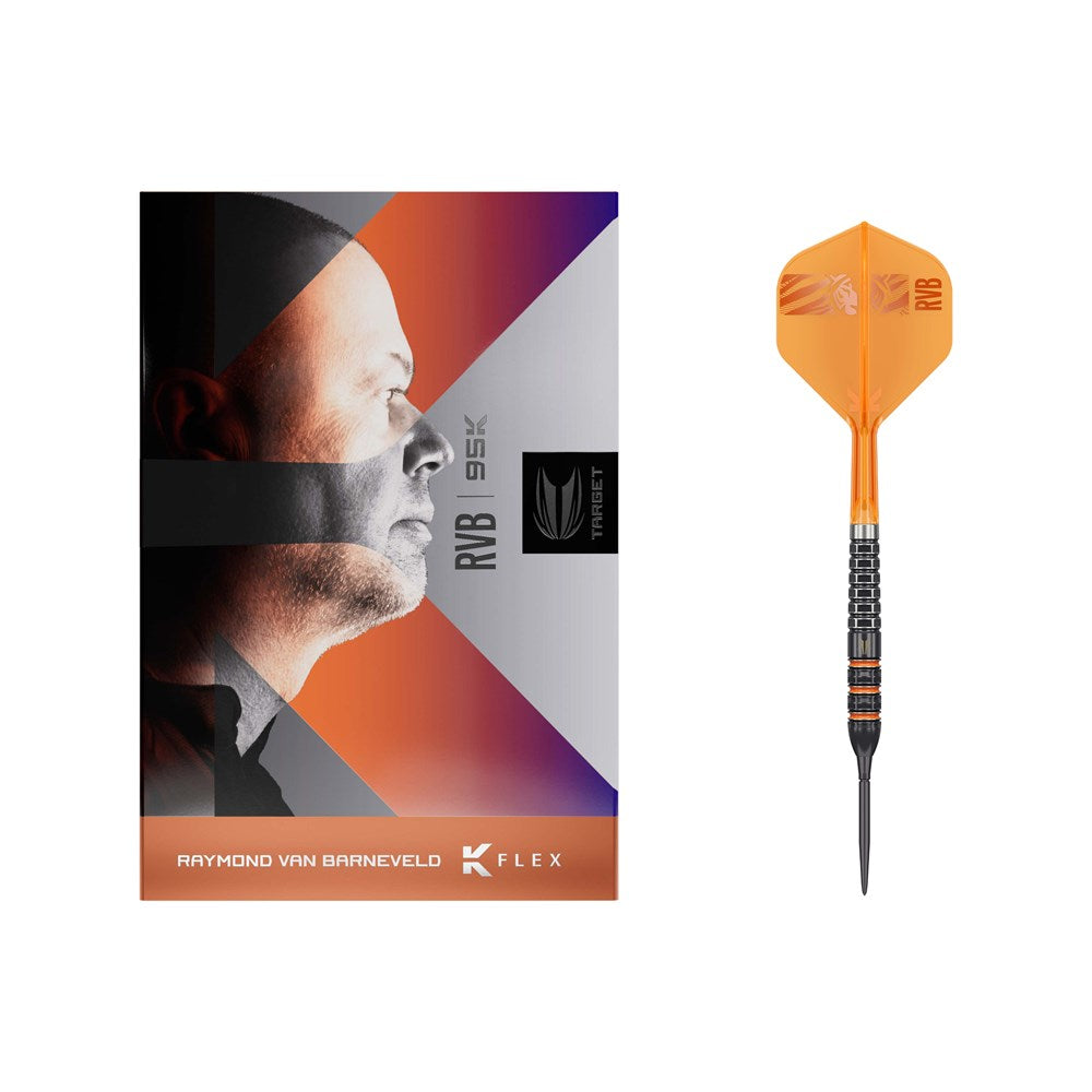 Raymond Van Barneveld 95k Darts