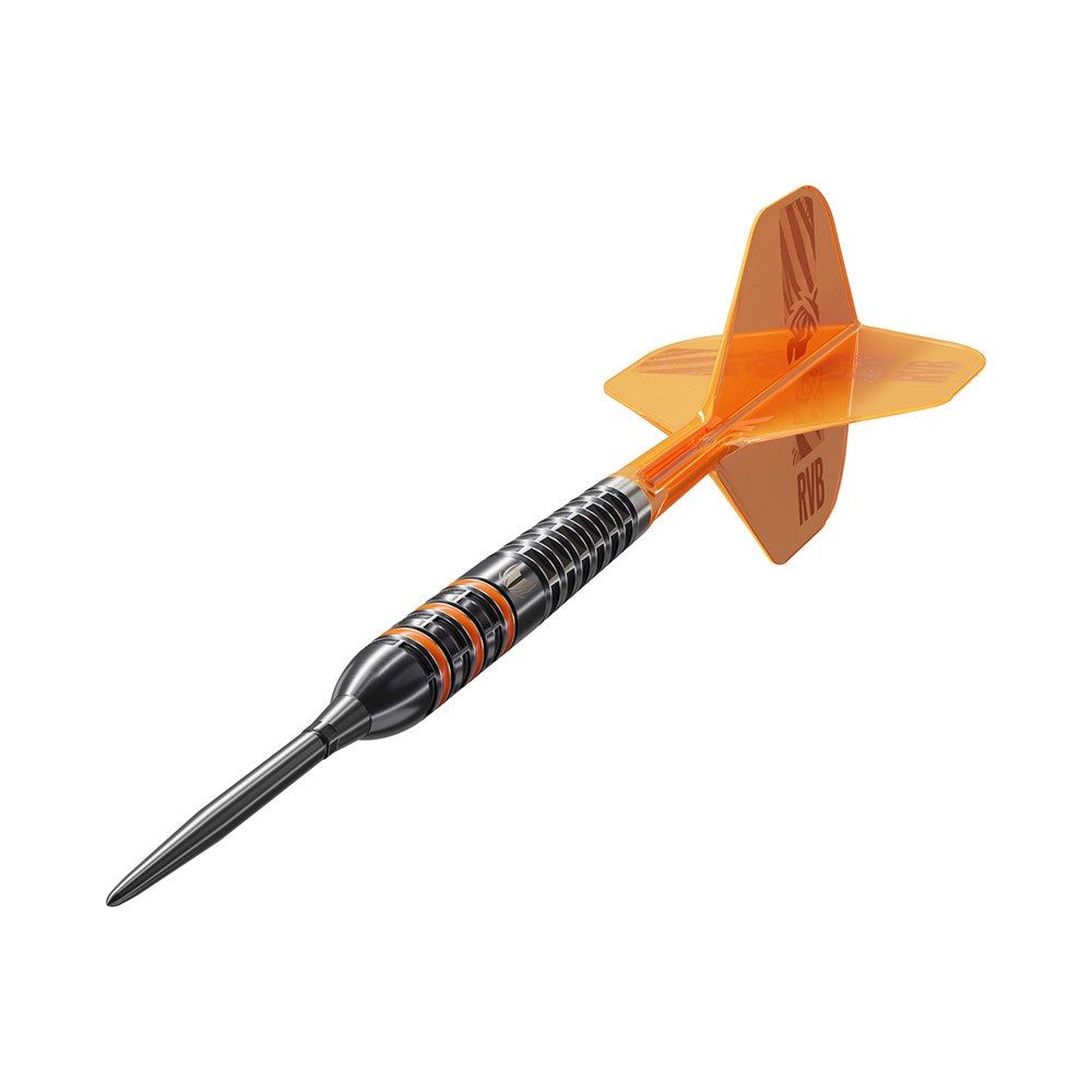 Raymond Van Barneveld 95k Darts