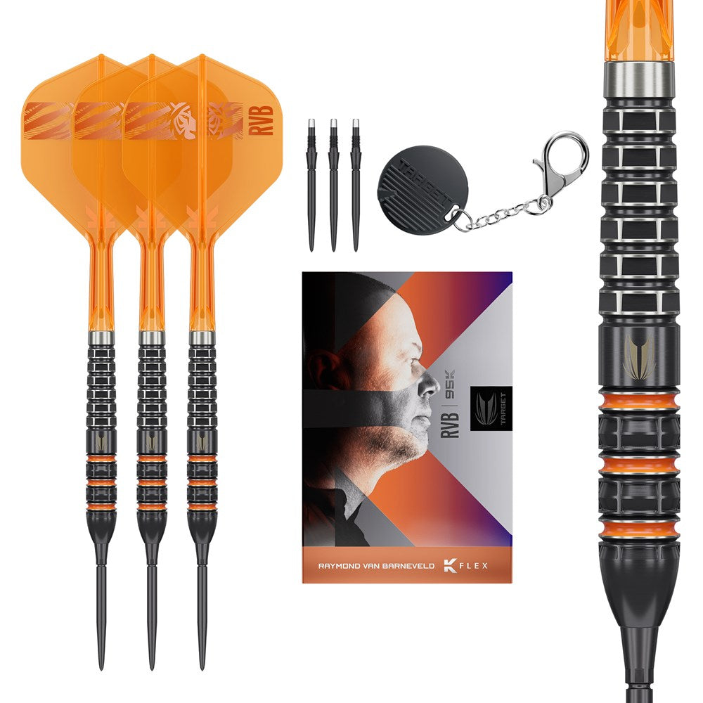 Raymond Van Barneveld 95k Darts