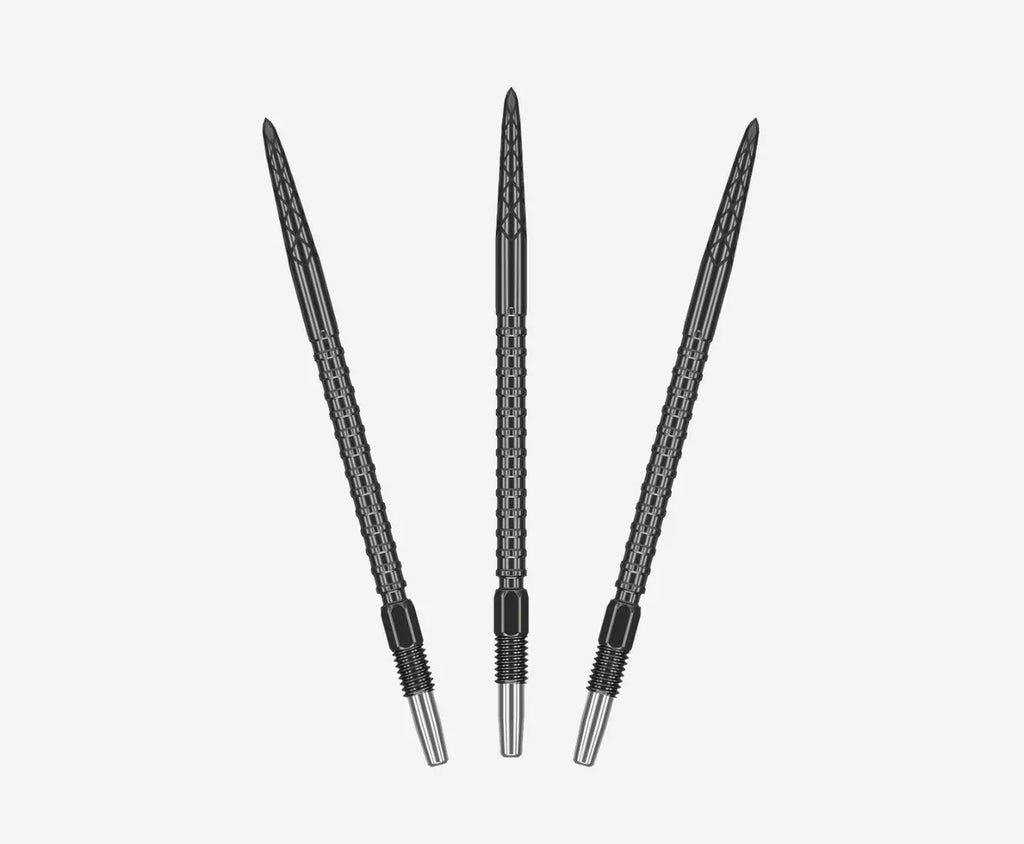 Swiss DS Point